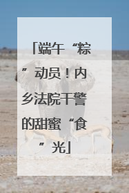 端午“粽”动员！内乡法院干警的甜蜜“食”光