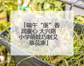 端午“廉”香润童心 大兴路小学萌娃巧制艾草花束