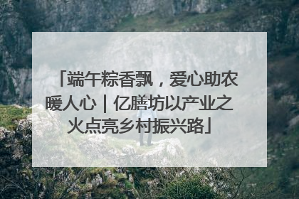 端午粽香飘，爱心助农暖人心｜亿膳坊以产业之火点亮乡村振兴路