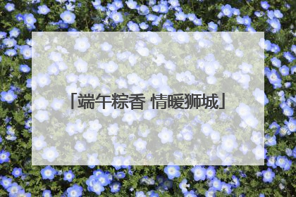 端午粽香 情暖狮城