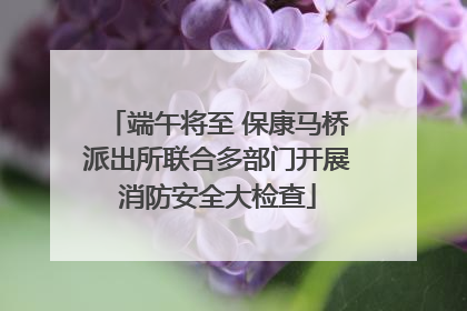 端午将至 保康马桥派出所联合多部门开展消防安全大检查