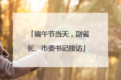 端午节当天，副省长、市委书记接访