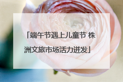 端午节遇上儿童节 株洲文旅市场活力迸发