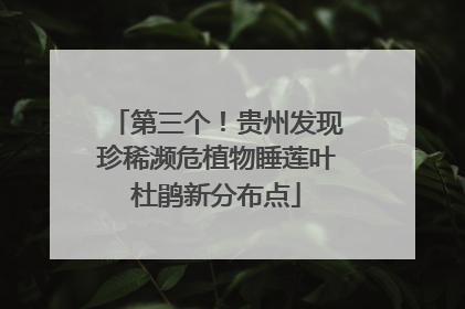 第三个！贵州发现珍稀濒危植物睡莲叶杜鹃新分布点