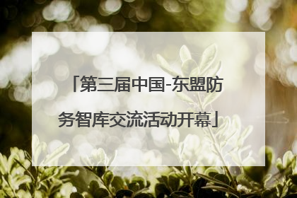 第三届中国-东盟防务智库交流活动开幕