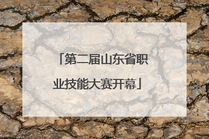 第二届山东省职业技能大赛开幕