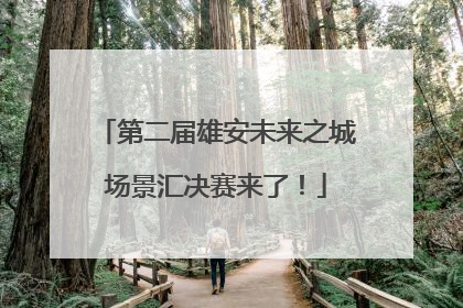 第二届雄安未来之城场景汇决赛来了！