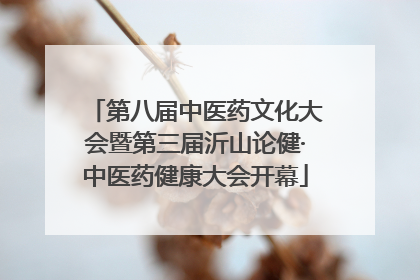 第八届中医药文化大会暨第三届沂山论健·中医药健康大会开幕