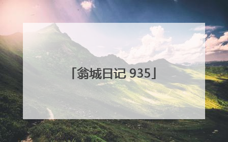 翁城日记 935