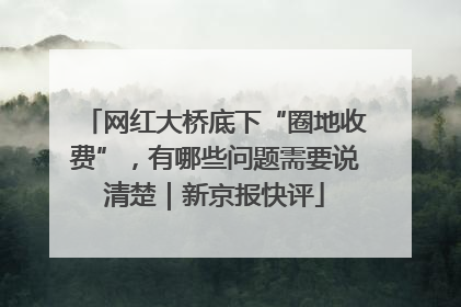 网红大桥底下“圈地收费”，有哪些问题需要说清楚｜新京报快评