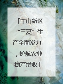 羊山新区“三夏”生产全面发力，护航农业稳产增收