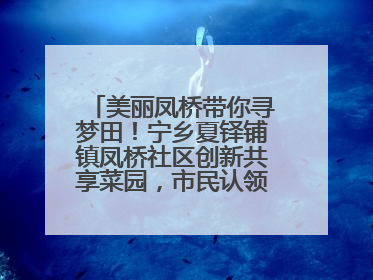 美丽凤桥带你寻梦田！宁乡夏铎铺镇凤桥社区创新共享菜园，市民认领菜土，体验耕种收获乐趣