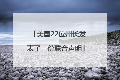 美国22位州长发表了一份联合声明