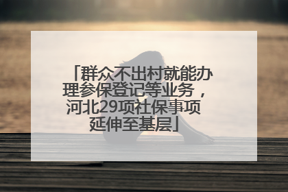 群众不出村就能办理参保登记等业务，河北29项社保事项延伸至基层