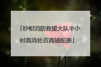 纱帽消防救援大队半小时高效处置商铺蛇患