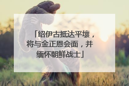 绍伊古抵达平壤，将与金正恩会面，并缅怀朝鲜战士