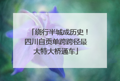 绕行半城成历史！四川自贡单跨跨径最大特大桥通车