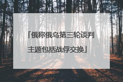 俄称俄乌第三轮谈判主题包括战俘交换