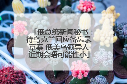 俄总统新闻秘书：待乌克兰回应备忘录草案 俄美乌领导人近期会晤可能性小
