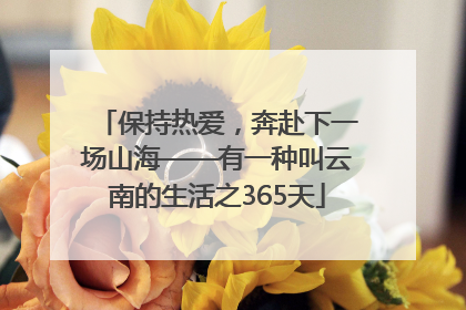保持热爱，奔赴下一场山海——有一种叫云南的生活之365天