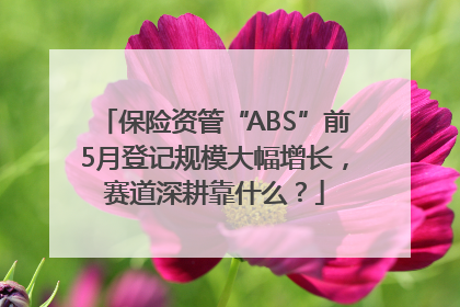 保险资管“ABS”前5月登记规模大幅增长，赛道深耕靠什么？