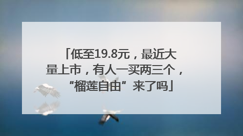 低至19.8元，最近大量上市，有人一买两三个，“榴莲自由”来了吗