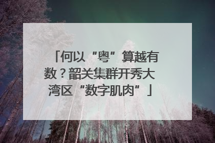 何以“粤”算越有数？韶关集群开秀大湾区“数字肌肉”