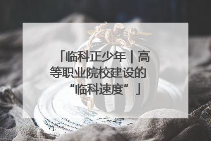 临科正少年｜高等职业院校建设的“临科速度”