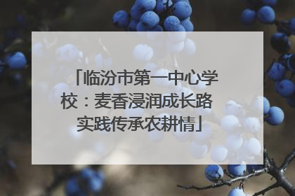 临汾市第一中心学校：麦香浸润成长路 实践传承农耕情