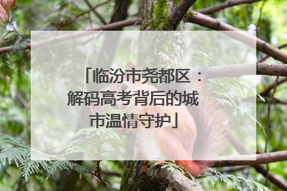 临汾市尧都区：解码高考背后的城市温情守护
