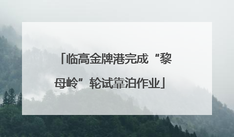 临高金牌港完成“黎母岭”轮试靠泊作业