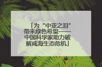 为“中亚之泪”带来绿色希望——中国科学家助力破解咸海生态危机