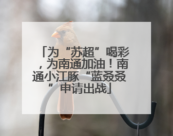 为“苏超”喝彩，为南通加油！南通小江豚“蓝叒叒”申请出战