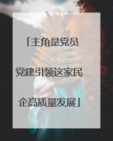 主角是党员 党建引领这家民企高质量发展