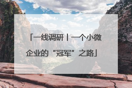 一线调研丨一个小微企业的“冠军”之路