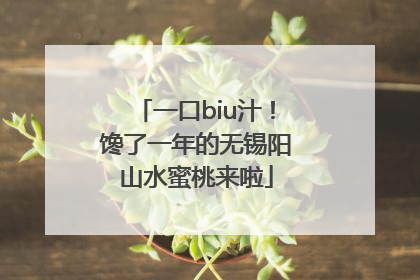 一口biu汁！馋了一年的无锡阳山水蜜桃来啦