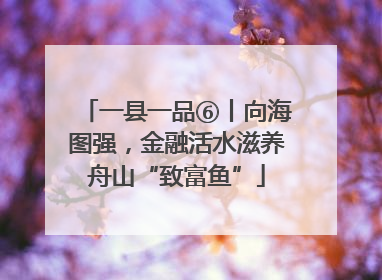 一县一品⑥丨向海图强，金融活水滋养舟山“致富鱼”