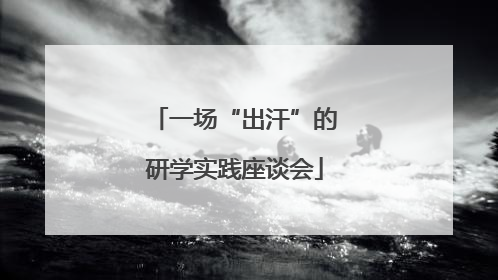 一场“出汗”的研学实践座谈会