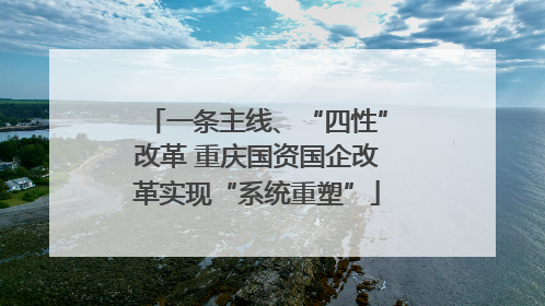 一条主线、“四性”改革 重庆国资国企改革实现“系统重塑”