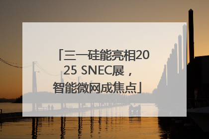 三一硅能亮相2025 SNEC展，智能微网成焦点