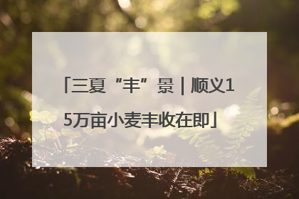 三夏“丰”景｜顺义15万亩小麦丰收在即