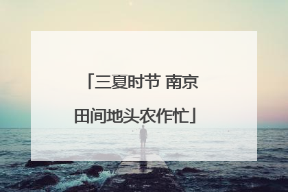 三夏时节 南京田间地头农作忙