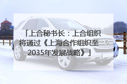 上合秘书长：上合组织将通过《上海合作组织至2035年发展战略》