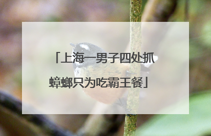 上海一男子四处抓蟑螂只为吃霸王餐