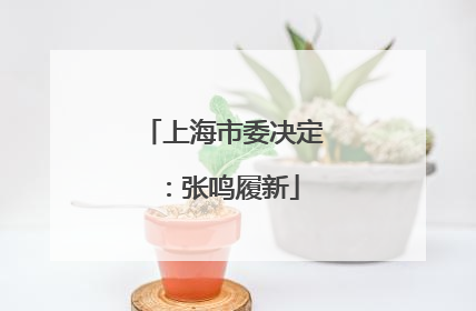 上海市委决定：张鸣履新