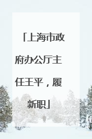 上海市政府办公厅主任王平，履新职