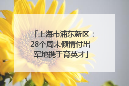 上海市浦东新区：28个周末倾情付出 军地携手育英才