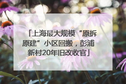 上海最大规模“原拆原建”小区回搬，彭浦新村20年旧改收官