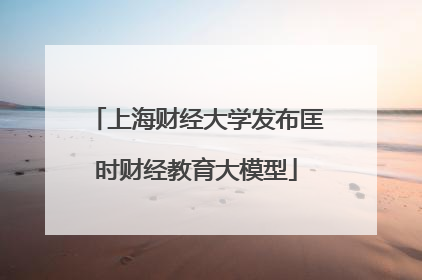 上海财经大学发布匡时财经教育大模型