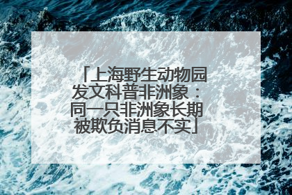 上海野生动物园发文科普非洲象：同一只非洲象长期被欺负消息不实